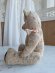 画像14: JPMフレンチテディベア