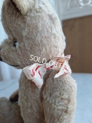 画像15: JPMフレンチテディベア