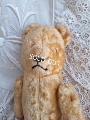 画像6: アンティークピーナッツベア