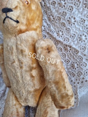 画像7: アンティークピーナッツベア