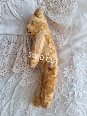 画像10: アンティークピーナッツベア