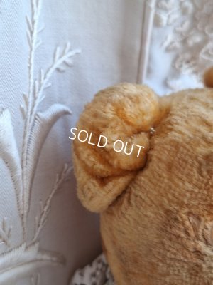 画像14: アンティークピーナッツベア