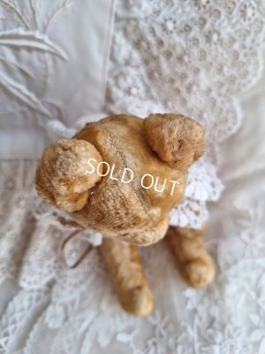 画像12: アンティークピーナッツベア