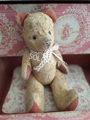 jpmteddybear