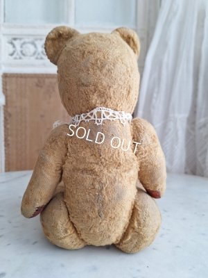 画像18: JPMフレンチテディベア