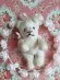 smallteddybear