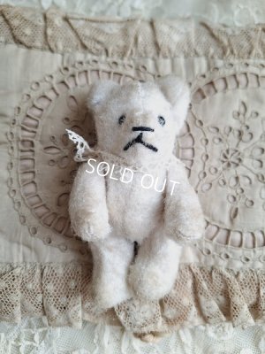 画像5: とても小さなピーナッツベア