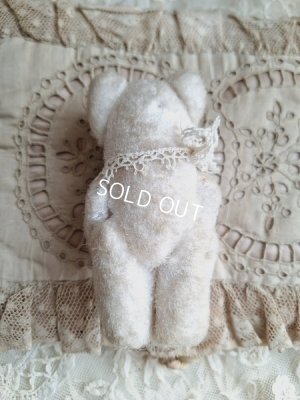 画像6: とても小さなピーナッツベア