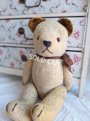Frenchteddybear