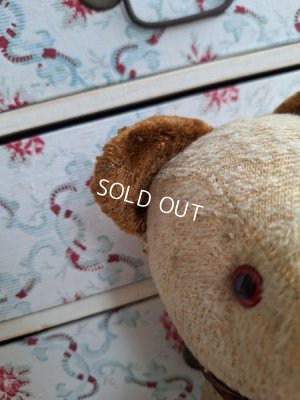 画像6: アンティークフレンチテディベア