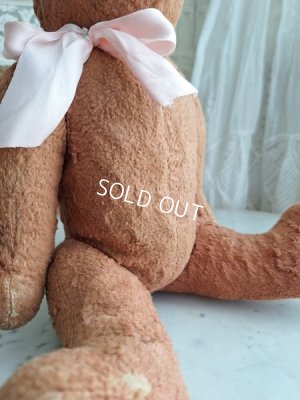 画像7: フレンチピンクテディベア