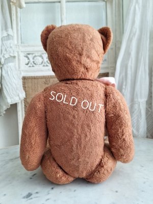 画像15: フレンチピンクテディベア