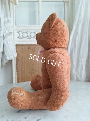 画像16: フレンチピンクテディベア