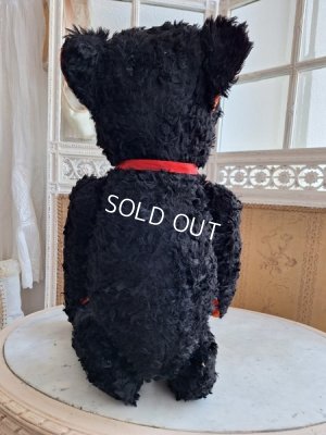 画像4: JPMブラックテディベア
