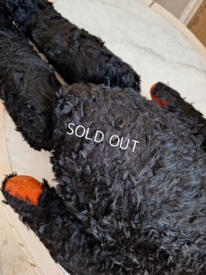 画像9: JPMブラックテディベア