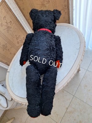 画像11: JPMブラックテディベア