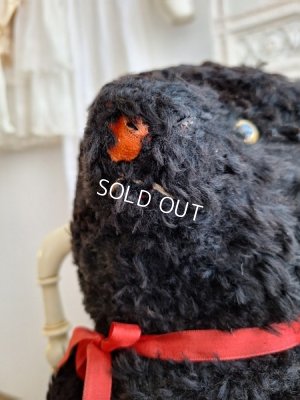 画像13: JPMブラックテディベア