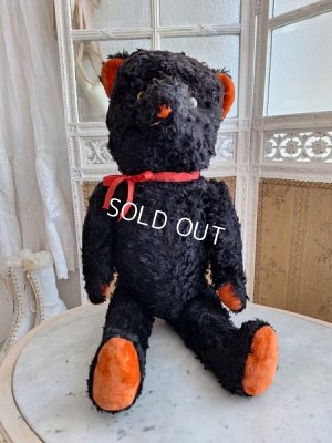 画像3: JPMブラックテディベア