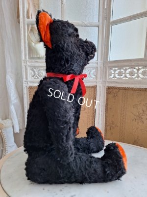 画像6: JPMブラックテディベア