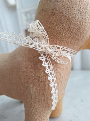 画像6: フレンチ犬