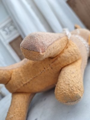 画像9: フレンチ犬