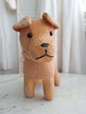 画像13: フレンチ犬