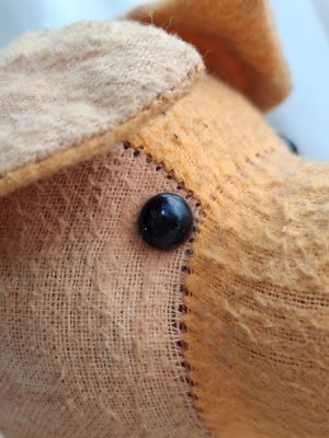 画像4: フレンチ犬