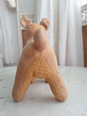 画像16: フレンチ犬