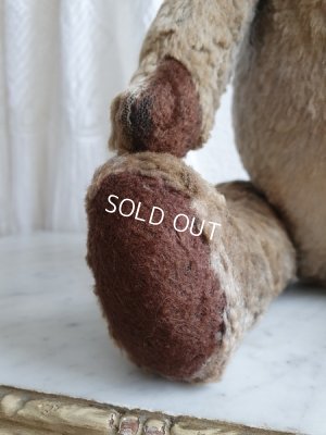 画像10: JPMフレンチテディベア