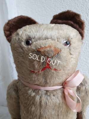 画像5: JPMフレンチテディベア