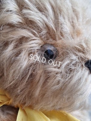画像4: アンティークモヘアテディベア