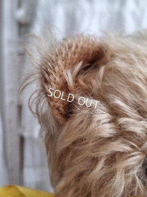 画像5: アンティークモヘアテディベア