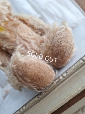 画像6: アンティークモヘアテディベア
