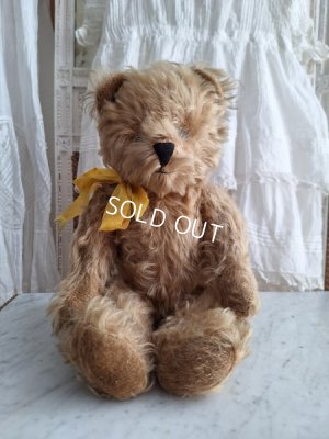 画像16: アンティークモヘアテディベア