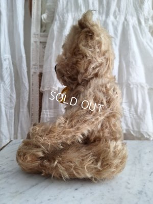 画像12: アンティークモヘアテディベア