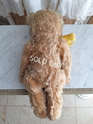 画像13: アンティークモヘアテディベア