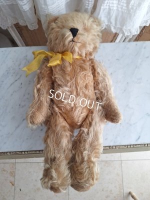 画像14: アンティークモヘアテディベア