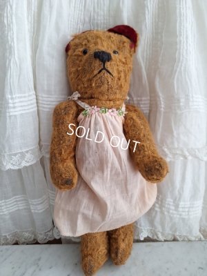 画像13: JPMテディベア