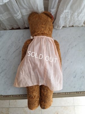 画像14: JPMテディベア