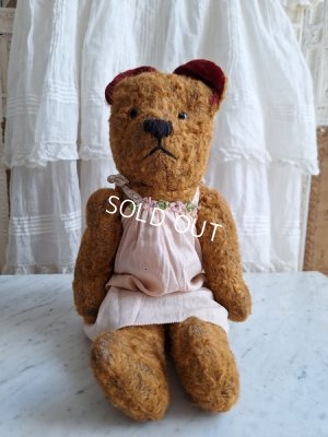 画像5: JPMテディベア