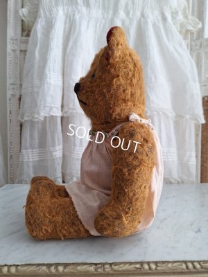 画像15: JPMテディベア