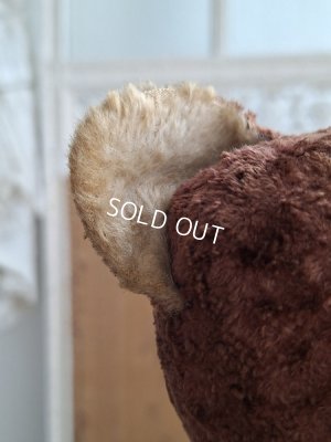 画像11: JPMフレンチテディベア