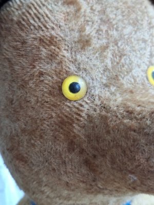 画像4: アンティークフレンチテディベア