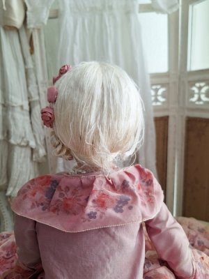 画像17: アンティークブドワールドール