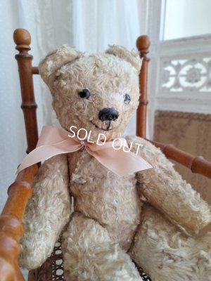 teddybear