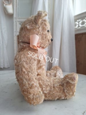 画像7: アンティークテディベア