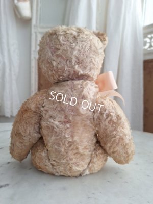 画像8: アンティークテディベア