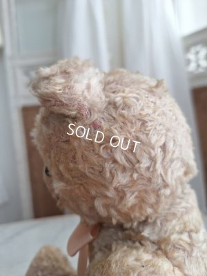 画像18: アンティークテディベア