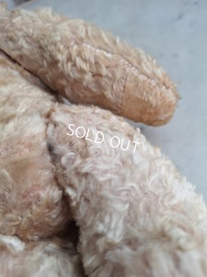 画像19: アンティークテディベア