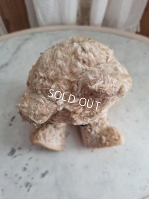 画像16: アンティークテディベア